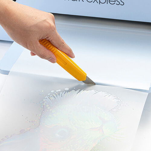 DTF OtterPro-Druckfolie 42 cm x 100 m