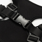 Tier-Geschirr, für den Sublimationsdruck