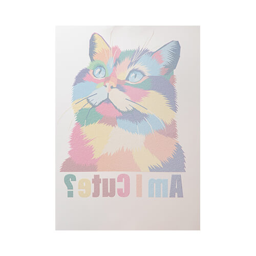 DTF A3-Druckfolie – 100 Blatt